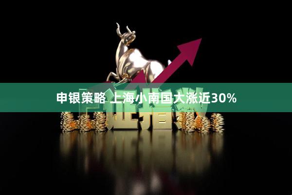 申银策略 上海小南国大涨近30%