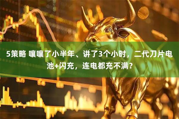 5策略 嚷嚷了小半年、讲了3个小时，二代刀片电池+闪充，连电都充不满？