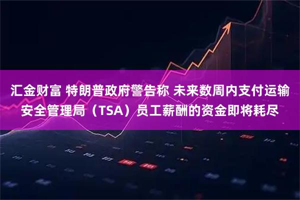 汇金财富 特朗普政府警告称 未来数周内支付运输安全管理局（TSA）员工薪酬的资金即将耗尽