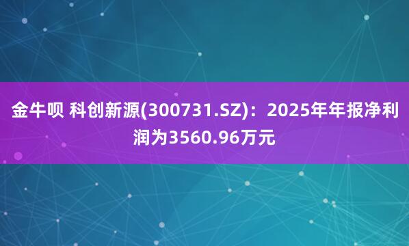 金牛呗 科创新源(300731.SZ)：2025年年报净利润为3560.96万元