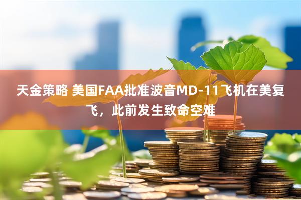 天金策略 美国FAA批准波音MD-11飞机在美复飞，此前发生致命空难