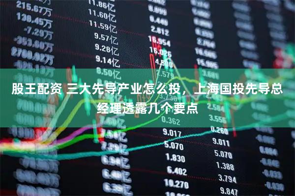 股王配资 三大先导产业怎么投，上海国投先导总经理透露几个要点